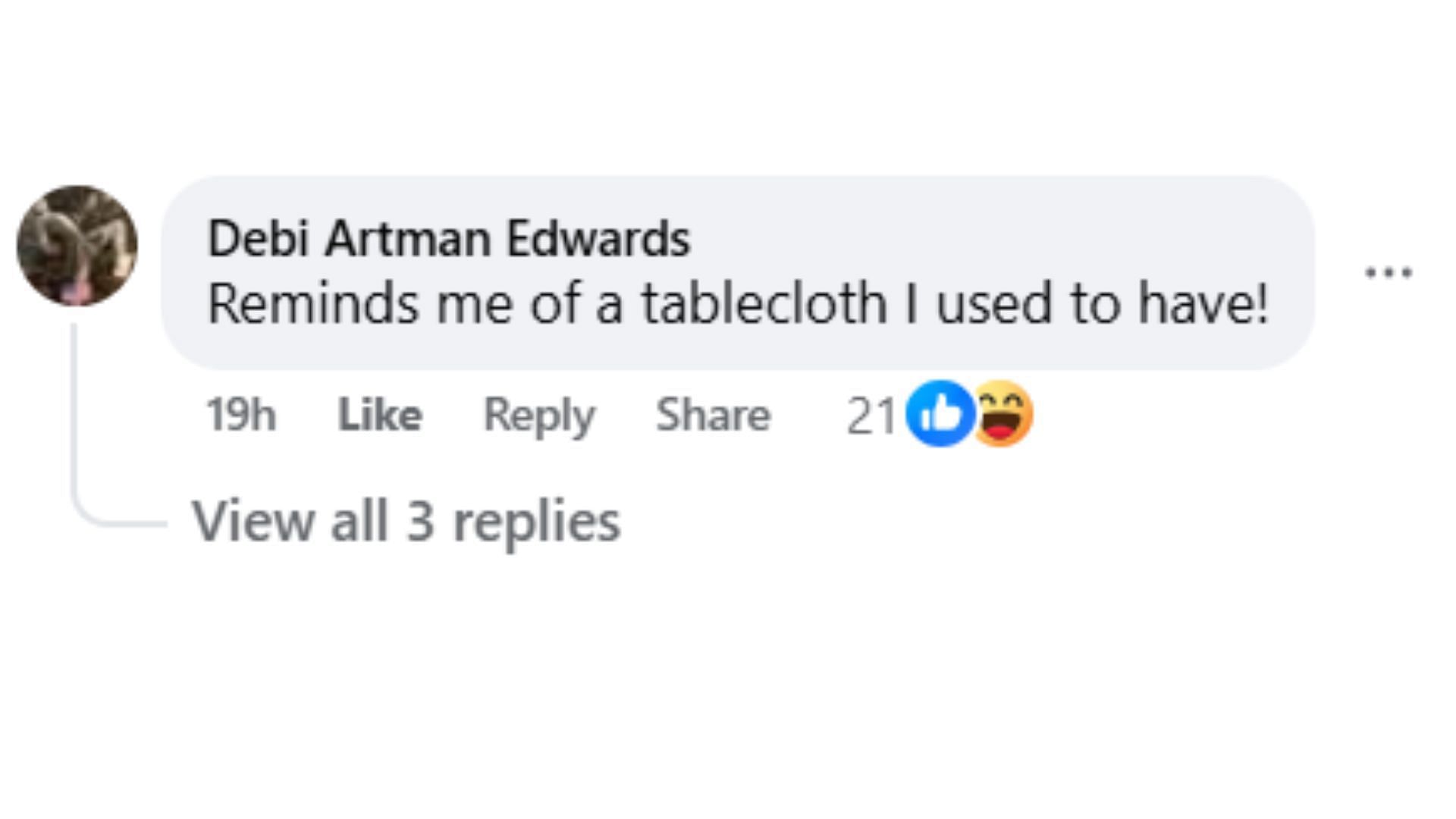 Comment by the fan on the post (Image via Facebook/@Kathleen Niemi Vettori)
